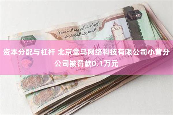 资本分配与杠杆 北京盒马网络科技有限公司小营分公司被罚款0.1万元