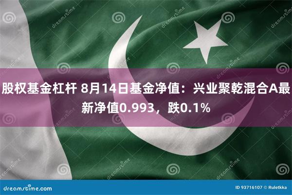 股权基金杠杆 8月14日基金净值：兴业聚乾混合A最新净值0.993，跌0.1%