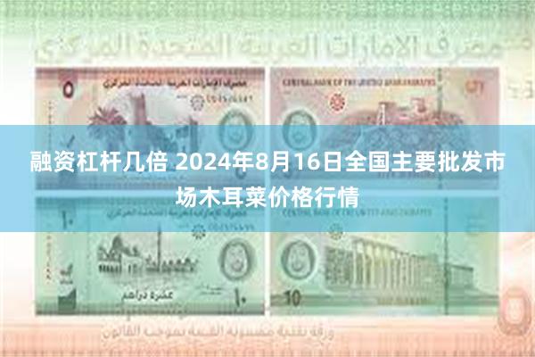 融资杠杆几倍 2024年8月16日全国主要批发市场木耳菜价格行情