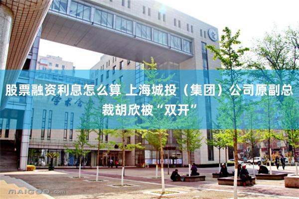 股票融资利息怎么算 上海城投（集团）公司原副总裁胡欣被“双开”