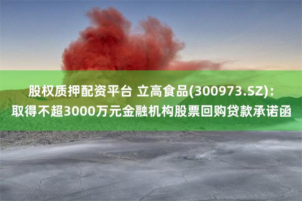 股权质押配资平台 立高食品(300973.SZ)：取得不超3000万元金融机构股票回购贷款承诺函