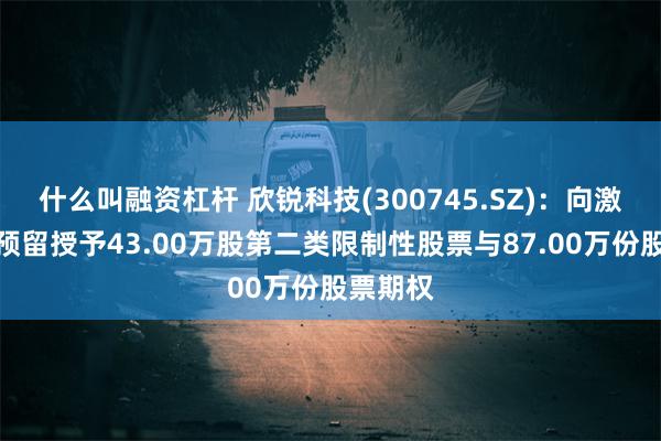 什么叫融资杠杆 欣锐科技(300745.SZ)：向激励对象预留授予43.00万股第二类限制性股票与87.00万份股票期权