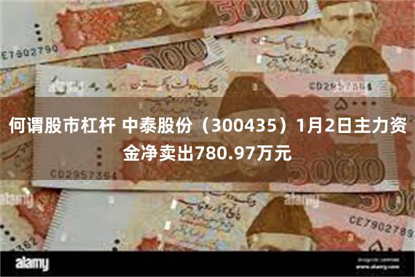 何谓股市杠杆 中泰股份（300435）1月2日主力资金净卖出780.97万元