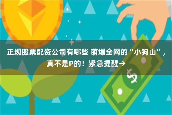 正规股票配资公司有哪些 萌爆全网的“小狗山”，真不是P的！紧急提醒→