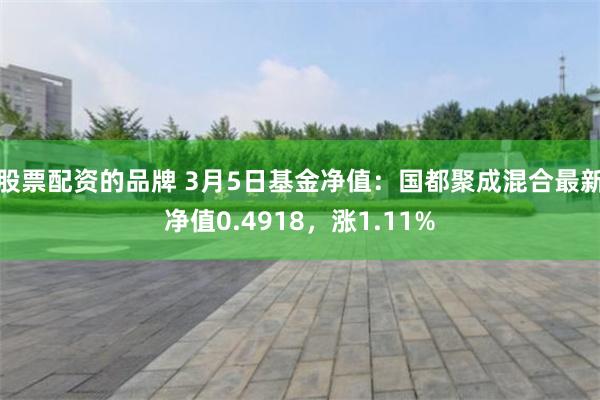 股票配资的品牌 3月5日基金净值：国都聚成混合最新净值0.4918，涨1.11%